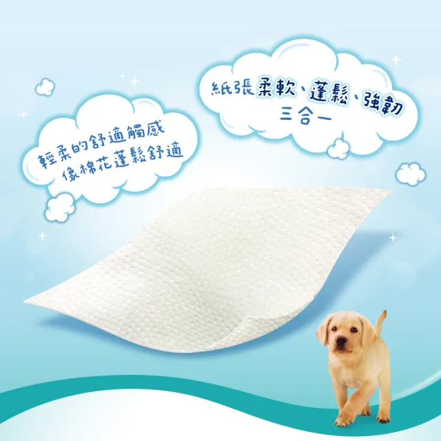 【Kleenex 舒潔】萬用輕巧衛生紙 110抽X120包/箱