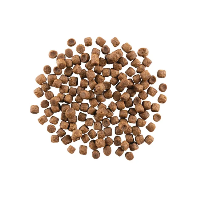 【Go!】四種肉 8磅 貓咪高肉量系列 低碳水無穀天然糧(貓糧 低碳水 全齡貓 挑嘴 貓飼料 寵物食品)