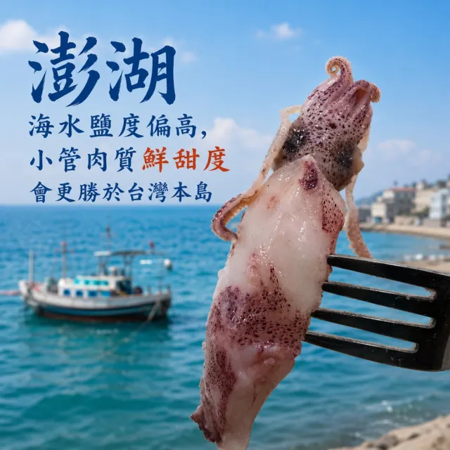 【老張鮮物】澎湖有墨熟小管/冰卷 5包組(300g±10%/包 每隻8公分以下)