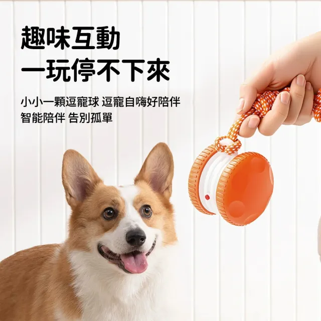 【Bayler】智慧感應自嗨球 電動寵物自動避障玩具 貓狗耐咬抗憂鬱 模擬鳥鳴 電動逗貓球 狗狗玩具