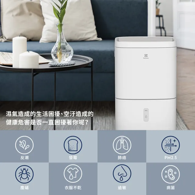 【Electrolux 伊萊克斯】2026年新一級能效 10L 極適家居300 清淨除濕機-晨曦白(ED1031WD)