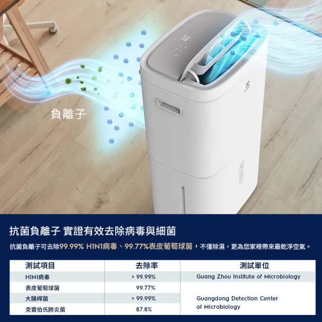 【Electrolux 伊萊克斯】2026年新一級能效 10L 極適家居300 清淨除濕機-晨曦白(ED1031WD)