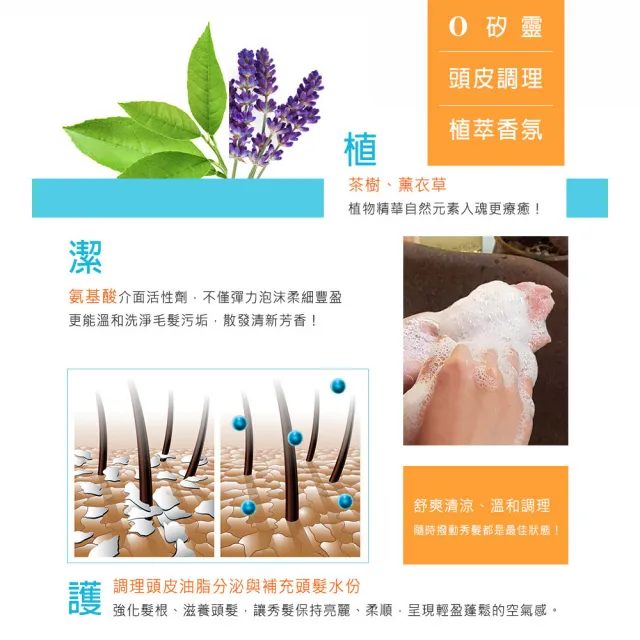【雅聞倍優BIOCHEM】麗質抗屑洗髮精 950ml