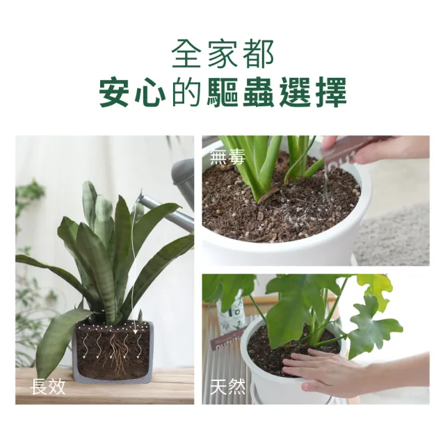 【1%植物關鍵】1% Protect+甲殼素土壤防蟲粉(20包/盒)(抑制蟲卵 剋紅蜘蛛介殼蟲 盆栽驅蟲防蟲+養護)