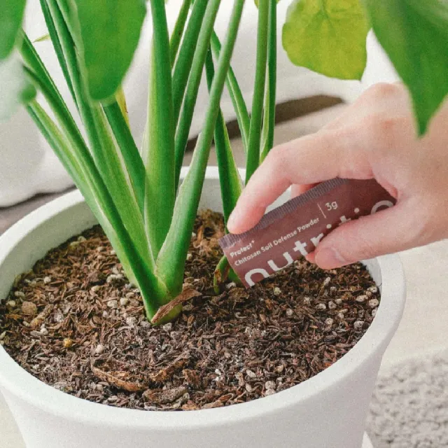 【1%植物關鍵】1%植物關鍵 Protect+甲殼素防護組(土壤防蟲粉20包/盒+植物驅蟲噴霧300ml)(植物 驅蟲防蟲)