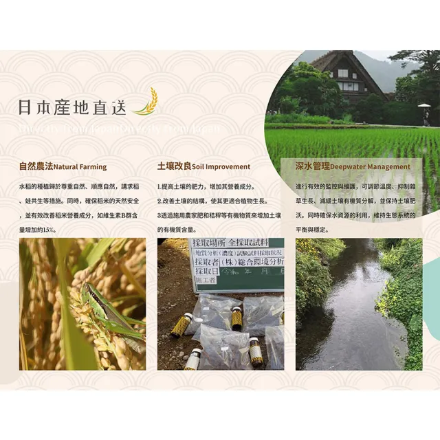 【悅•生活】日本米 白米 壽司米  新潟縣日式飯店專用謹製越光米2kg/包(谷穗 特A級)