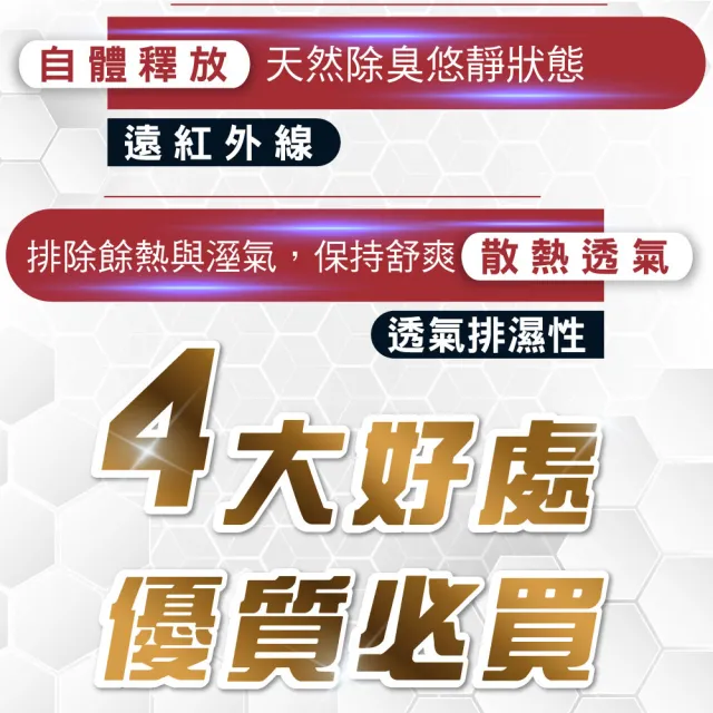 【ISHUR 伊舒爾】石墨烯遠紅外線獨立筒枕2入 台灣製造(贈天絲枕套2入/高科技/枕頭)