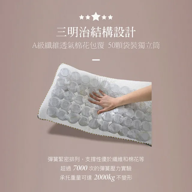 【ISHUR 伊舒爾】3D天絲獨立筒枕1入 台灣製造(贈天絲枕套1入/TENCEL/枕頭)