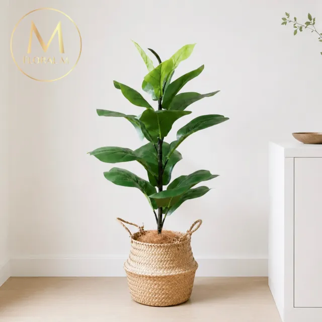 【Floral M】居家首選琴葉榕55cm仿真植栽(贈編織籃)(人造植栽/仿真樹/室內佈置/居家裝飾/桌上型植栽)