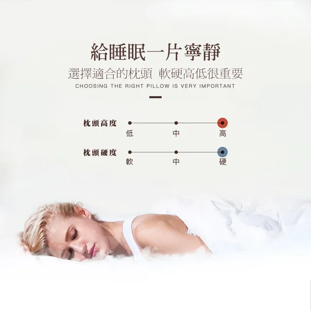 【ISHUR 伊舒爾】3D天絲獨立筒枕2入 台灣製造(加碼贈天絲枕套2入/TENCEL/枕頭)