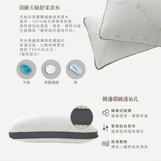 【ISHUR 伊舒爾】3D天絲獨立筒枕2入 台灣製造(加碼贈天絲枕套2入/TENCEL/枕頭)