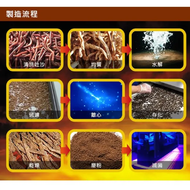 【草本之家】地龍紅蚯蚓酵素膠囊1入組60粒/入(蚓激酶.L-精胺酸.丹參.紅景天)