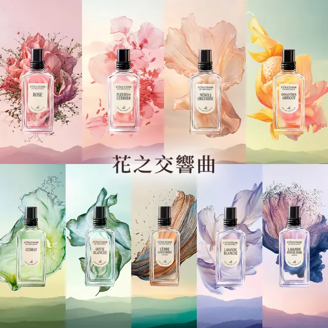 【L’Occitane 歐舒丹】官方直營 白薰衣草香遇組(白薰衣草淡香水50ml+護手霜30ml)