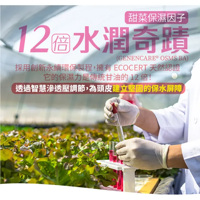 【古寶無患子】3瓶入 髮的能量飲 肌胺酸洗髮精露530g(強健髮根/豐盈髮絲/潤澤柔順/控油去屑/無矽靈)