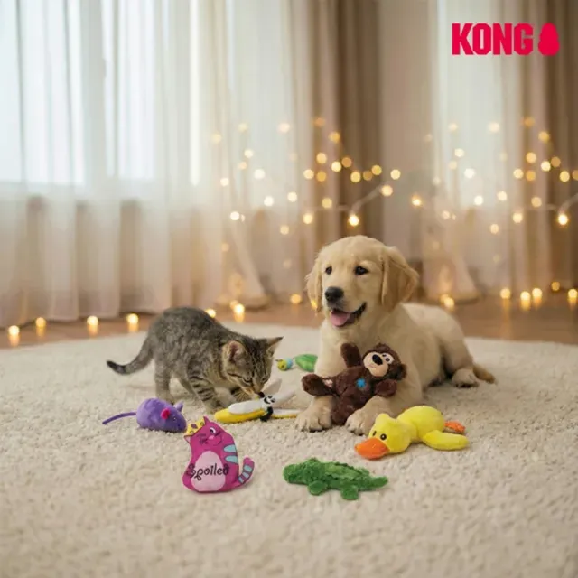 【KONG】毛絨耐咬狗玩具－繩結粉彩泰迪熊Sm(隨機出貨 狗狗玩具 拉扯玩具 耐咬 泰迪熊)