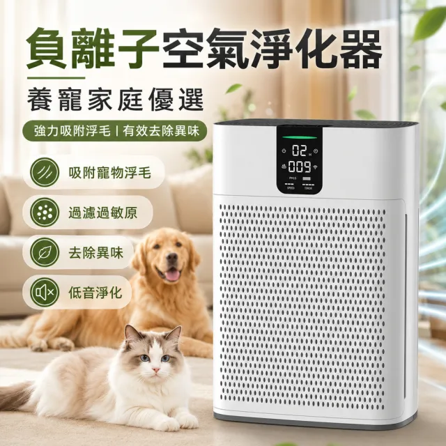 HOMI好米 負離子空氣淨化器 寵物家庭除毛除臭機 智慧數顯觸控 遠距遙控 高效濾網 室內空氣清新機