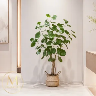 【Floral M】金幣滿堂招財樹100cm仿真植栽(贈編織籃)(人造植栽/仿真樹/室內佈置/居家裝飾/桌上型植栽)