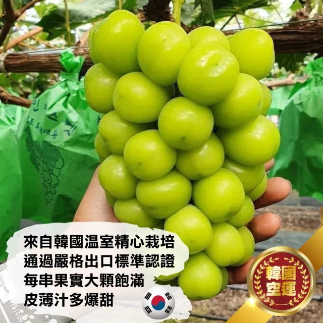 【WANG 蔬果】韓國無籽麝香綠葡萄_大串500-600gx2盒(單串PE硬盒 空運直送)