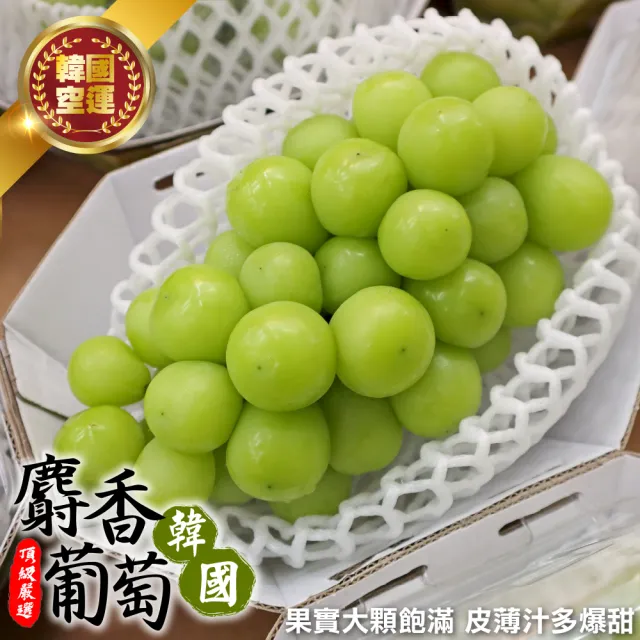 【WANG 蔬果】韓國無籽麝香綠葡萄_大串500-600gx4盒(單串PE硬盒 空運直送)