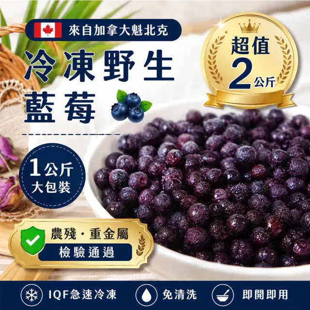 【幸美生技】冷凍野生藍莓2包組1kgx2包 加拿大進口 (送驗 農殘/重金屬 檢驗通過)