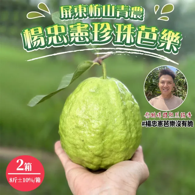 【初品果】各大媒體專訪 青農楊忠憲 牛奶珍珠芭樂禮盒8斤x2箱(大小粒數不限 冷藏宅配 屏東產地直送)