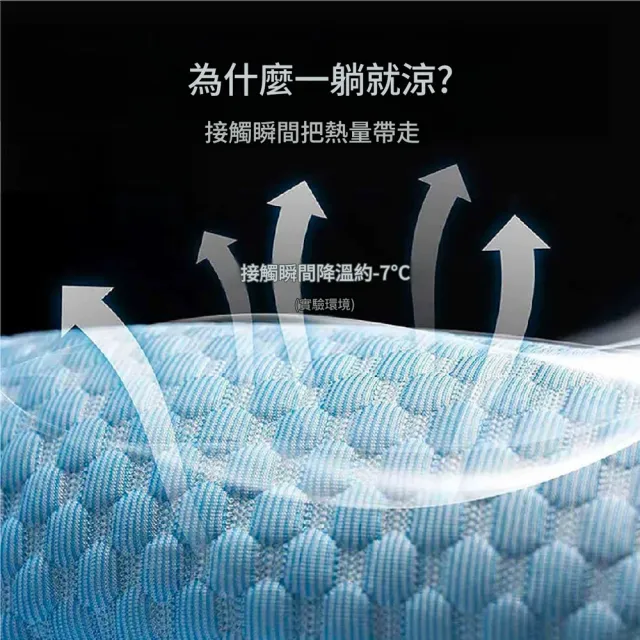 【IPSKY】透氣涼感寵物車載坐墊 人寵共用 汽車貓狗墊 附靠枕支撐背部  防髒耐抓好清洗 35公斤適用