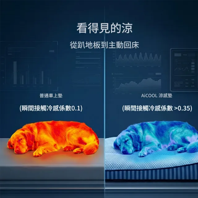 【IPSKY】透氣涼感寵物車載坐墊 汽車座椅專用貓狗墊 附靠枕支撐背部  防髒耐抓好清洗 15公斤適用
