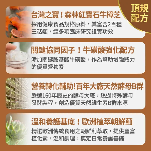 【FJ 豐傑生醫】牛樟芝菌絲體膠囊-30顆/袋(精神旺盛ｘ增強體力)