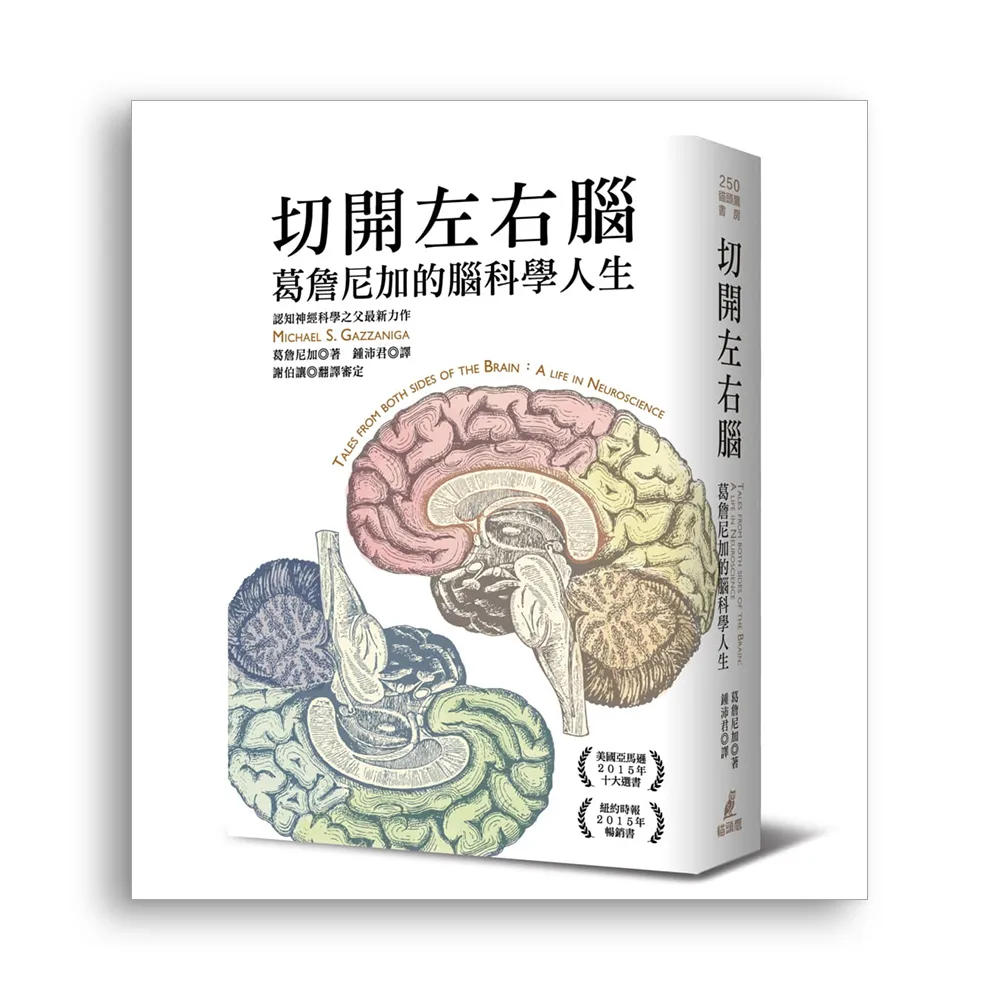 切開左右腦：葛詹尼加的腦科學人生