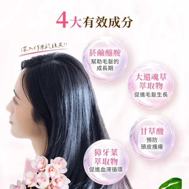 【RANMU蘭夢 官方直營】精粹養髮液100mLx12入組(頭皮精華 頭皮護理 養髮精華)