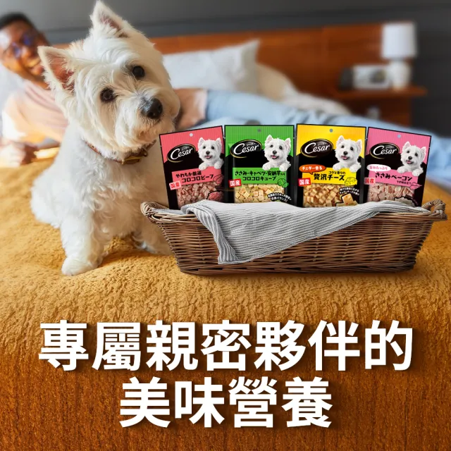 【Greenies 健綠】狗潔牙骨 原味 12oz+ 西莎狗點心一包 寵物/狗零食/狗食(任選)