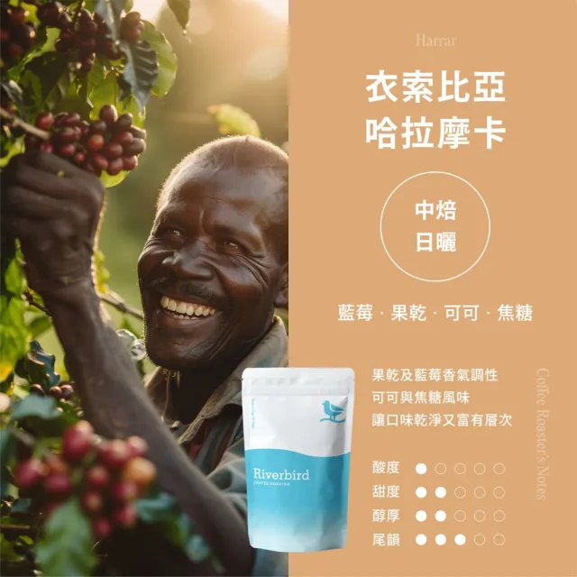 【江鳥咖啡】莊園經典咖啡豆x4袋組(225g/袋;金沙澄花系列;新鮮烘焙;皇后莊園/西達摩/和平之風/哈拉摩卡)