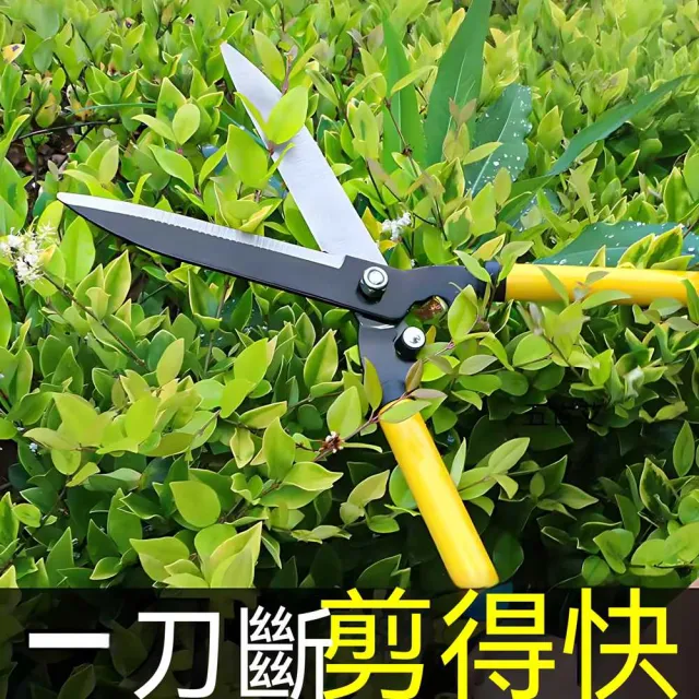 【MOOG 沐格】園林修枝剪 綠化修剪剪刀 茶樹花木修剪工具 苗圃園藝剪
