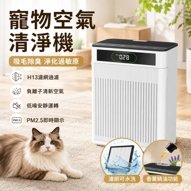 HOMI好米 寵物空氣淨化器K10 附兩套濾網(吸浮毛 寵物毛髮清淨機 養貓空氣清淨機 空氣淨化器)