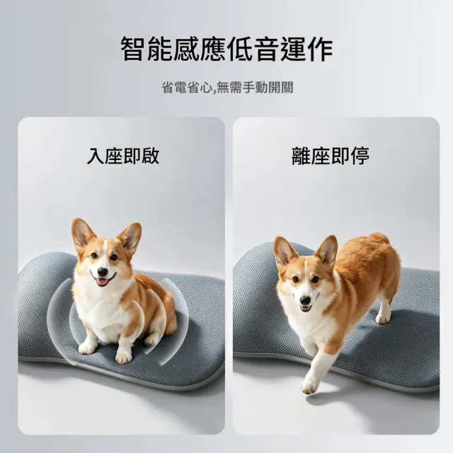 【IPSKY】寵物風扇窩 自動感應風扇床  離席自停三檔風控低噪 貓咪涼墊 狗狗冷氣床 製冷睡墊7公斤以內