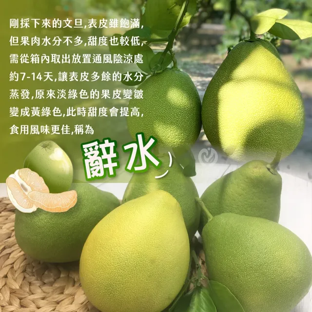 【初品果】(中秋早鳥專屬)台南麻豆老欉文旦禮盒 10斤(小粒)10-18顆x1箱(中秋禮盒 企業送禮 揪團)