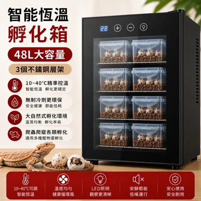 【RTAKO】寵物孵化箱 爬寵孵化機 恆溫孵化櫃 48L 智能孵化器 恆溫櫃 觸控調節 櫃腳可調 恆溫箱 孵蛋器