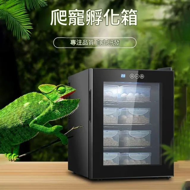 【RTAKO】寵物孵化箱 爬寵孵化機 恆溫孵化櫃 46L 智能孵化器 恆溫櫃 觸控調節 櫃腳可調 恆溫箱 孵蛋器