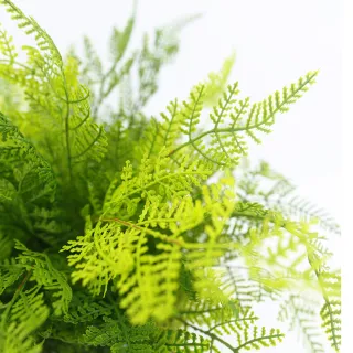 【HUGO DECO 榆果傢飾】高擬真波斯頓蕨皮革籃植栽(人造植栽/仿真植物/綠化/佈置)