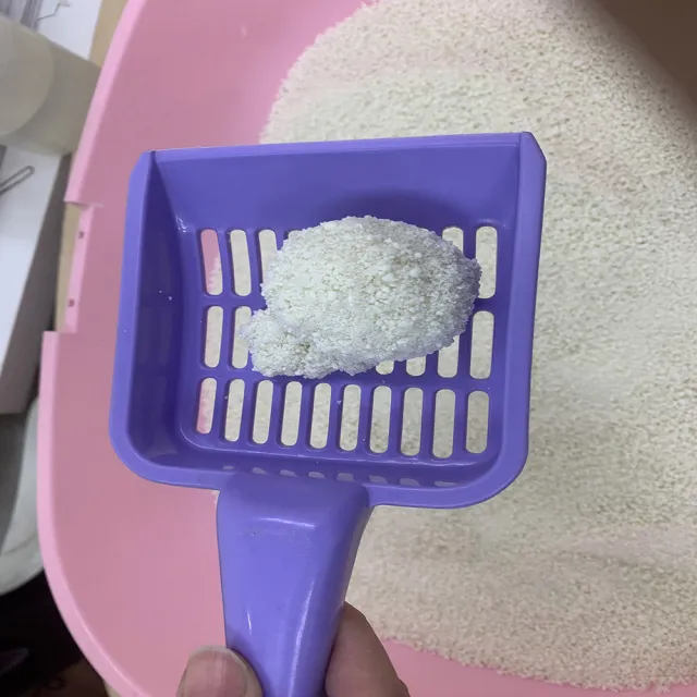 【國際貓家】Hello ICHI 豆腐貓砂 2KG/十包入(原味/綠茶/活性碳)