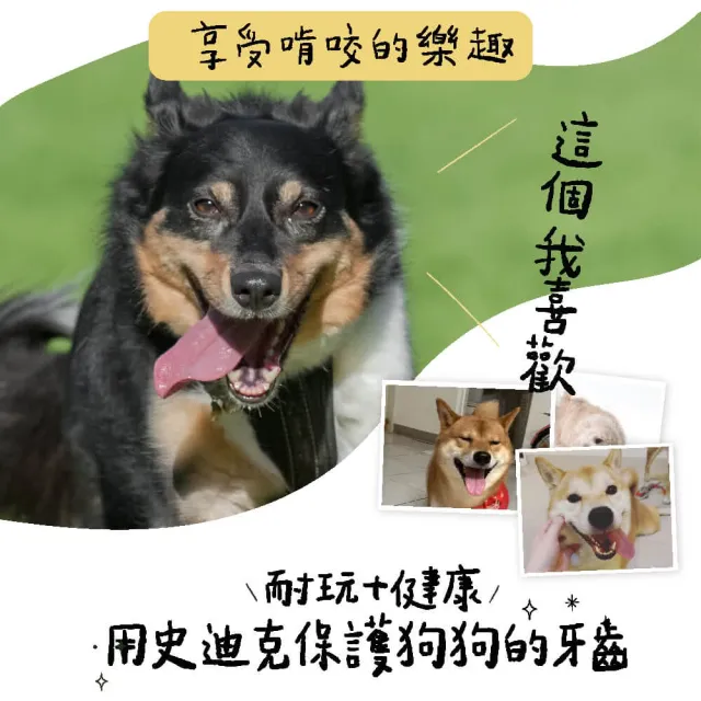 【Petstages】耐咬史迪克 狗玩具 天然木頭風味 S（5到12公斤小型犬適用）潔牙骨 耐咬 寵物玩具