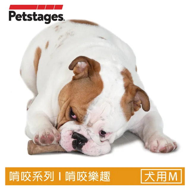 【Petstages】耐咬史迪克 狗玩具 天然木頭風味 M（12到22公斤中型犬適用）潔牙骨 耐咬 寵物玩具