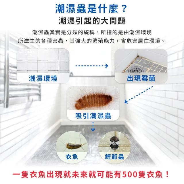 【福來朗】潮濕蟲噴霧 500ml_3入組 (除蟲菊精｜衣魚｜鰹節蟲｜書蝨｜潮濕空間適用)