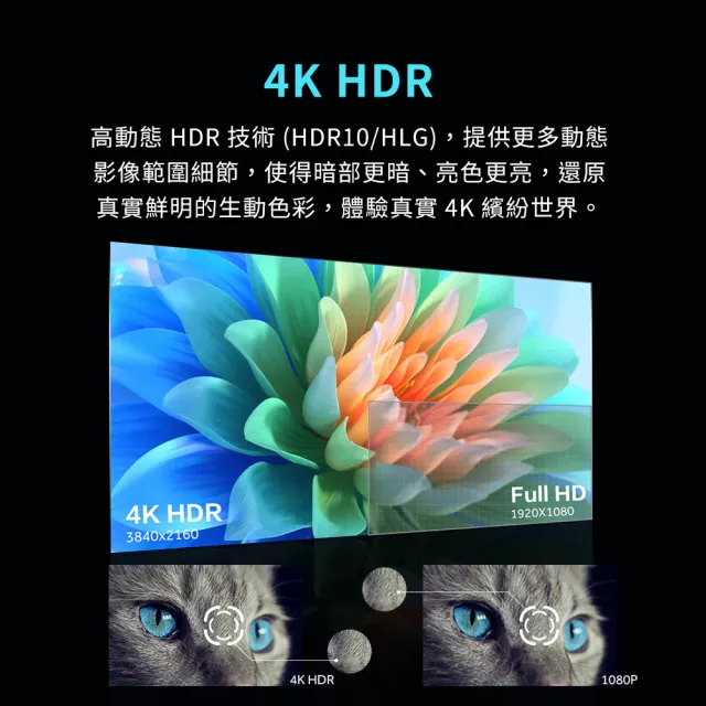 【Haier 海爾】家電快配★55型 4K AI DLG-120Hz Google TV 護眼遊戲顯示器 (H55K85GUX)
