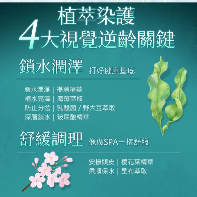 【墨之君】北海道利尻昆布白髮染升級版70gX5(榛果黑/栗子咖)
