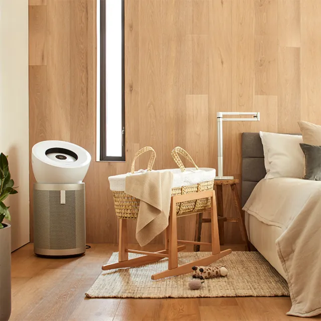 【dyson 戴森】BP02 Purifier Big+Quiet 強效極靜抗敏空氣清淨機(白色及柔霧銀 適用30坪)