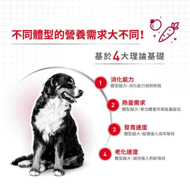 【ROYAL 法國皇家】中型成犬專用飼料 MA 10KG(狗乾糧 狗飼料)