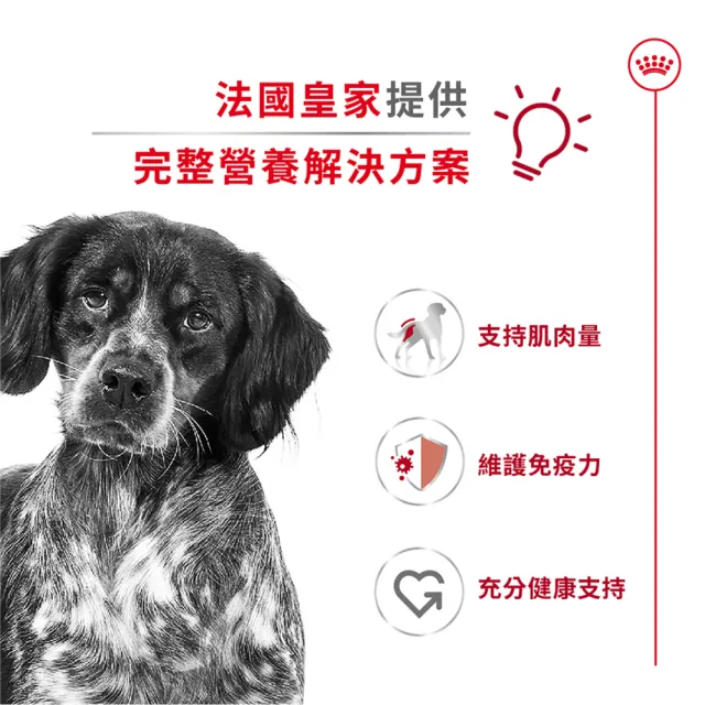 【ROYAL 法國皇家】中型成犬專用飼料 MA 15KG(狗乾糧 狗飼料)