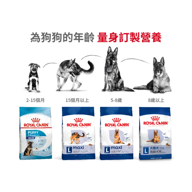 【ROYAL 法國皇家】大型熟齡犬5+歲齡專用飼料 MXA+5 15KG(狗乾糧 狗飼料)