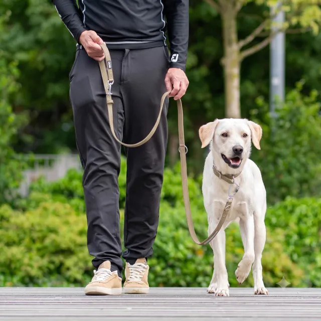 【DOG Copenhagen】丹麥犬Urban Classic Leash 多功能防水牽繩(多色可選)